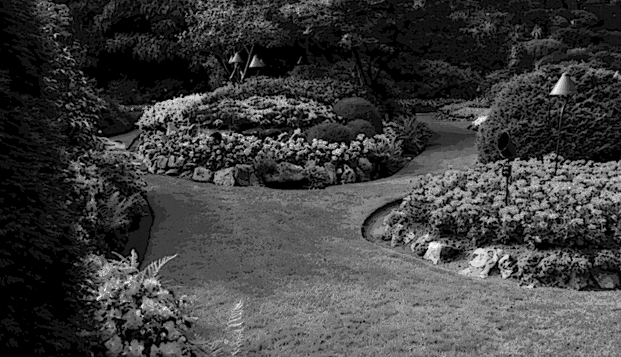 Black and white before